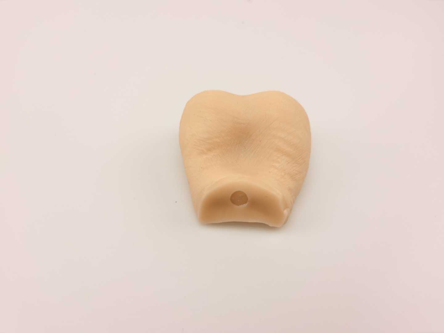 Testis Diagnosis Model